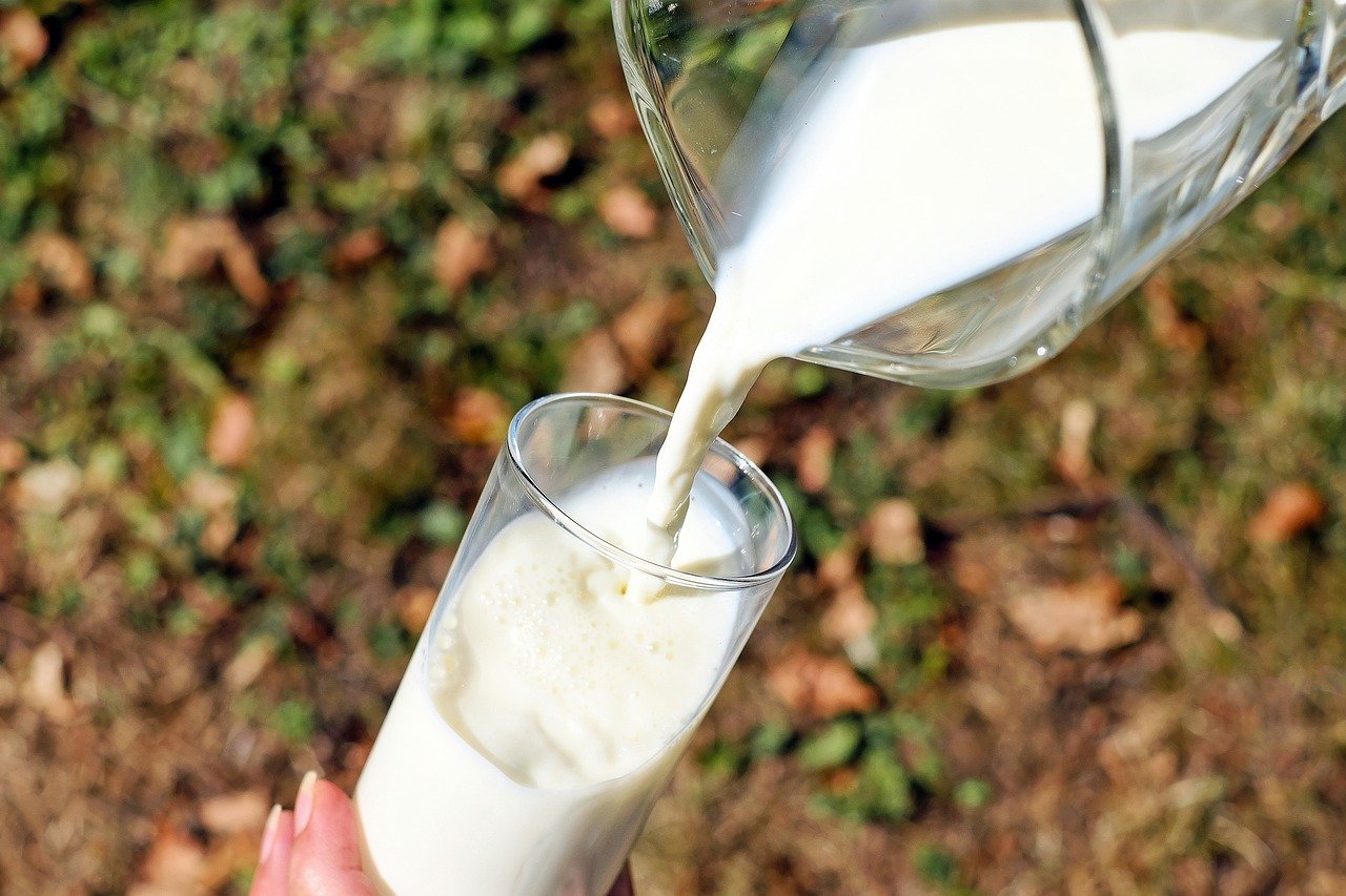 il latte fa male alla prostata