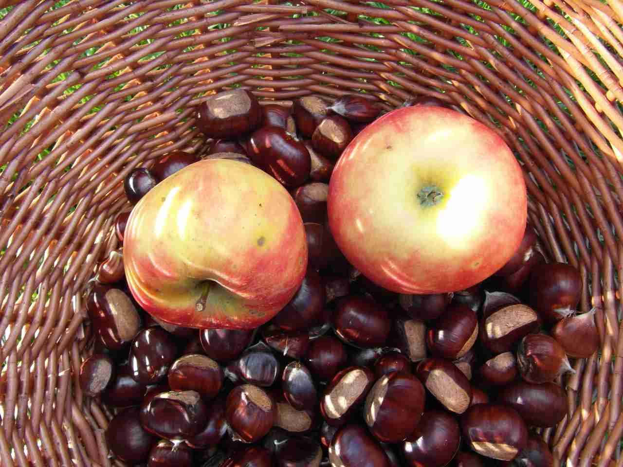 frutta autunno classifica