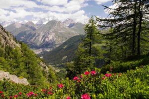 Ecco la classifica delle foreste più belle d'Italia: alcune hanno anche i laghi