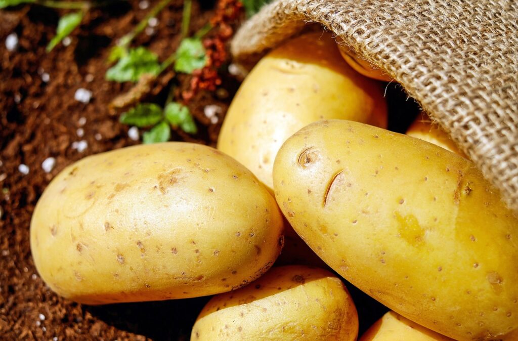 Come coltivare le patate in un sacco sul balcone: il metodo salvaspazio
