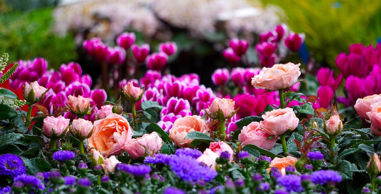 Aiuola fiorita con piante colorate che fioriscono in diverse stagioni.