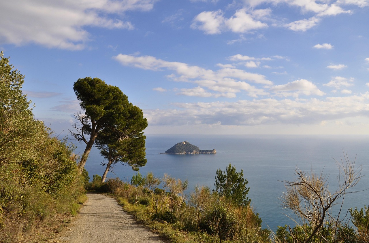 Spiaggia sabbiosa dell'Isola d'Elba con acque cristalline e pinete verdi sullo sfondo.