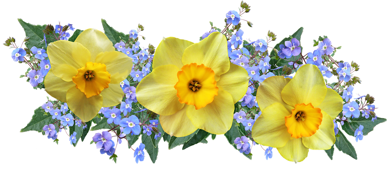 Bordure fiorite colorate in un giardino, con fiori di diverse varietà e stagioni.