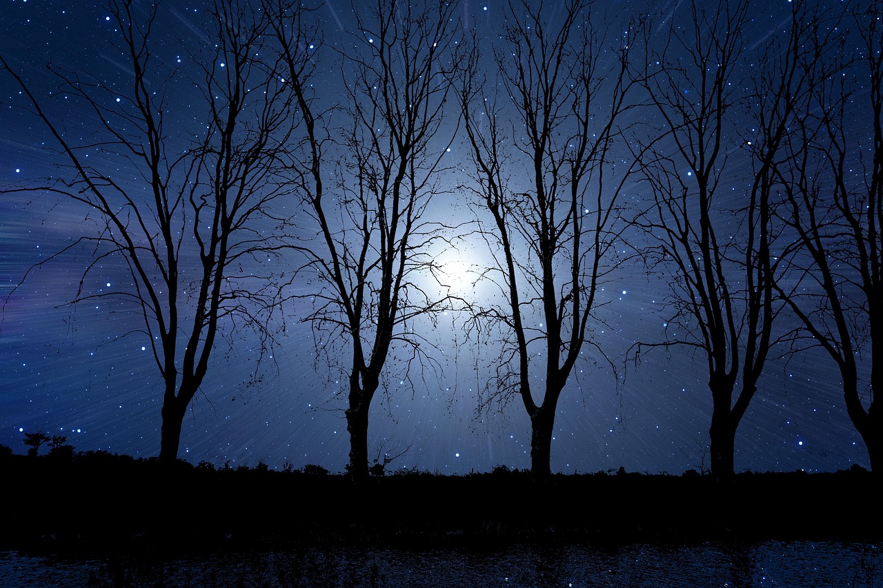 Immagine di un cielo stellato con frasi profonde sulla buonanotte scritte in elegante calligrafia.