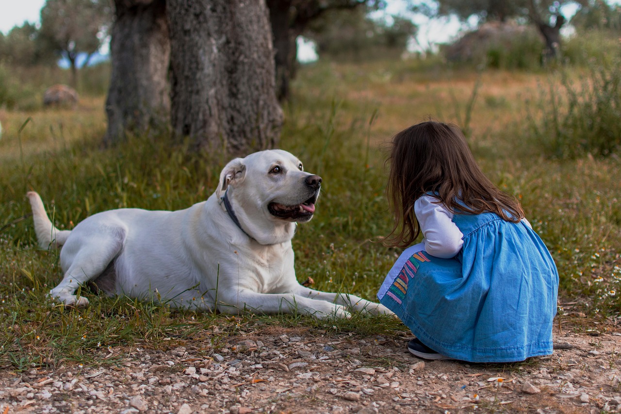 Cane e neonato insieme, illustrano l'importanza di una corretta preparazione all'arrivo del bebè.