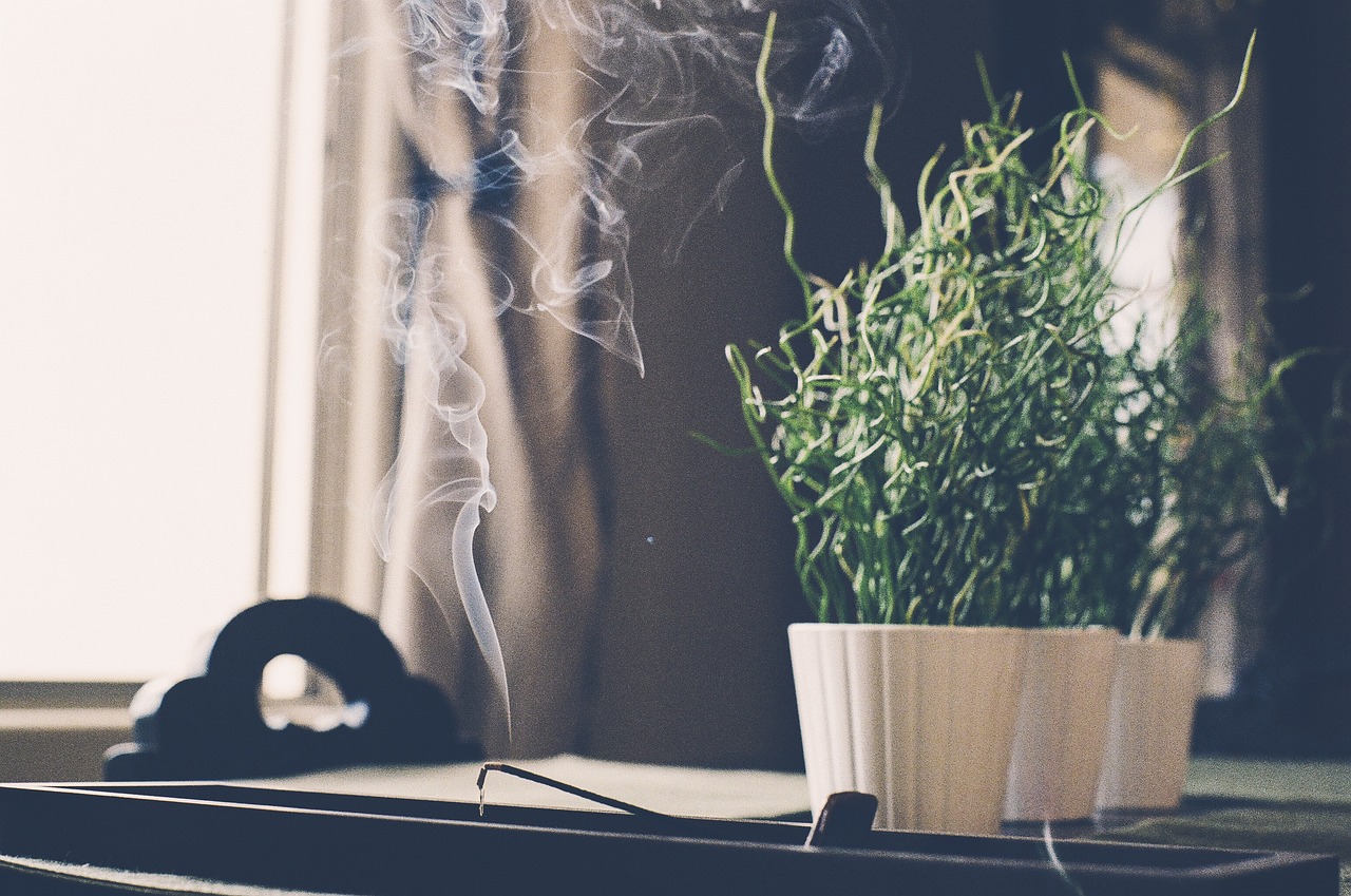 Casa profumata con trucchi naturali e senza spese, segreti per un ambiente fresco.