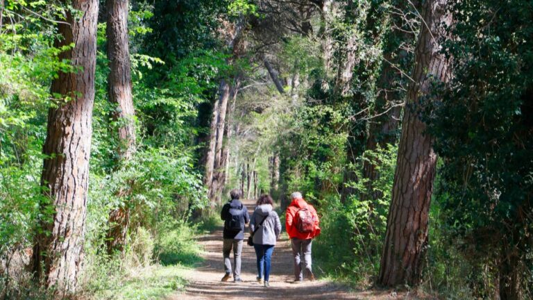 Turismo lento: ecco i 5 cammini italiani da fare a piedi