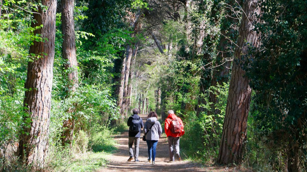 Escursionista su un sentiero panoramico, immerso nella natura italiana, simbolo del turismo lento.