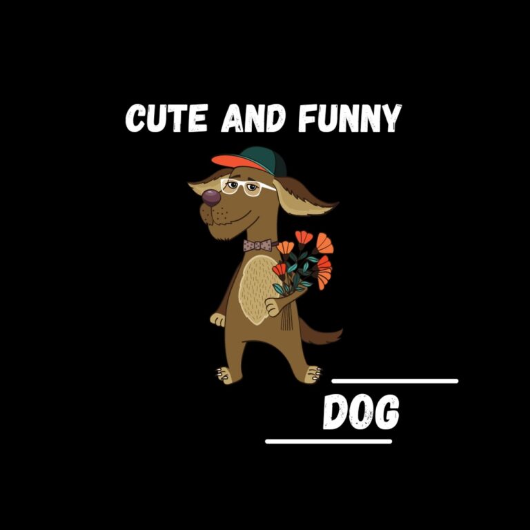 Buonanotte frasi divertenti 10 aprile 2026: immagini spiritose