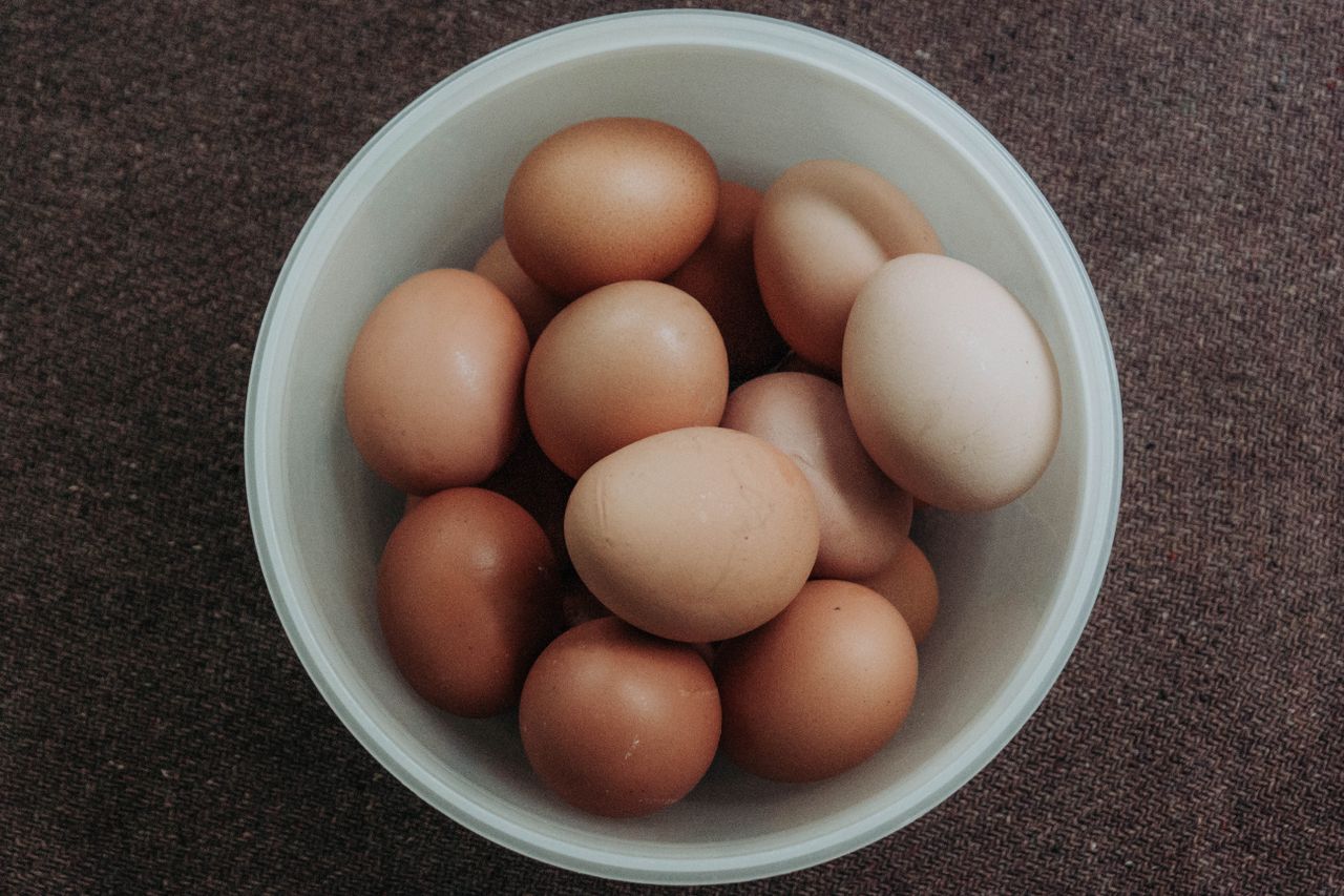 uova salmonella